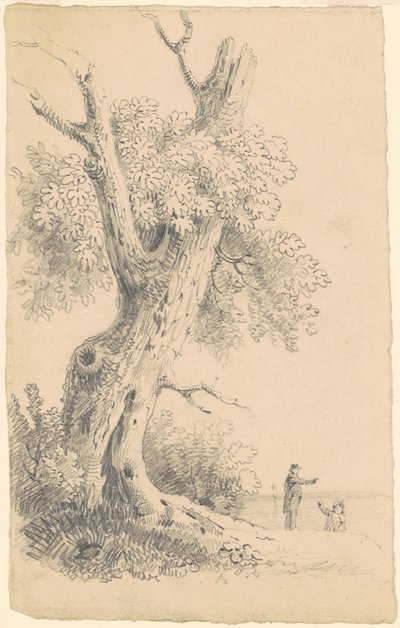 Tree Near the Shore by James Goodwyn Clonney