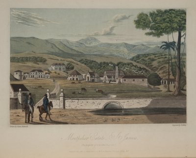 Montpelier Estate, St. James