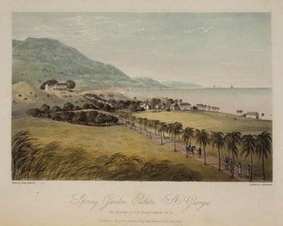 Spring Garden Estate, St. George