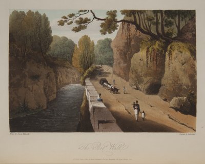 The Bog Walk by James Hakewill