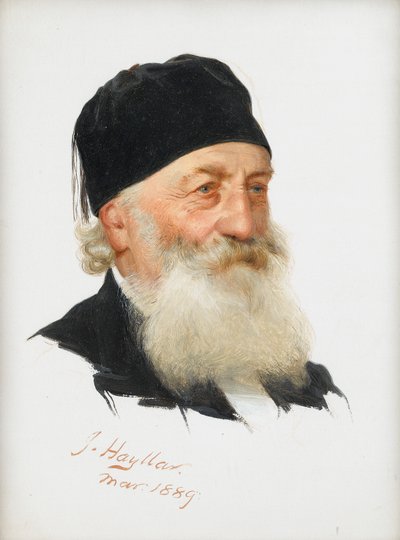 Study of a Bearded Gentleman, 1889 by James Hayllar