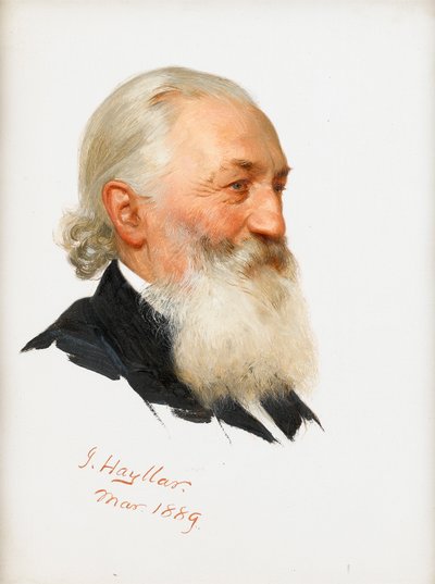 Study of a Bearded Gentleman, 1889 by James Hayllar