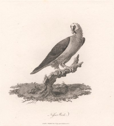 Nisser Werk by James Heath