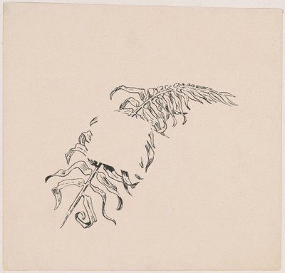 Branch by James Henry Moser