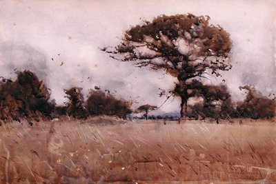 Wind by James Paterson