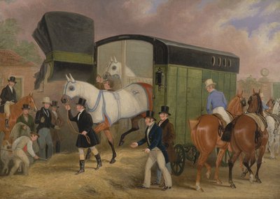 The Derby Pets: The Arrival by James Pollard