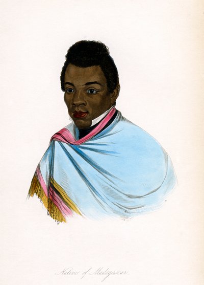 Native of Madagascar, c1850 by James Prichard