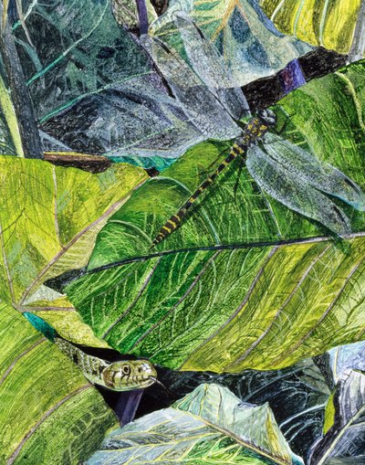 Water Snake and Dragon-fly by James Reeve