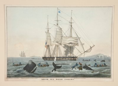 South Sea Whale Fishery by James S. Baillie