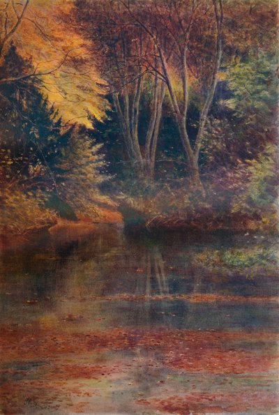 The Silent Pool by James S Ogilvy