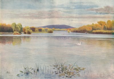 Vachery Pond, 1911, 1914 by James S Ogilvy