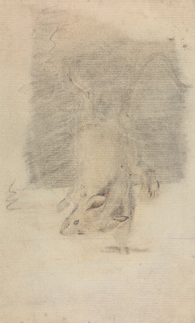 A Mouse by James Sowerby