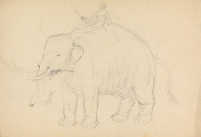 Elephant with Rider by James Sowerby