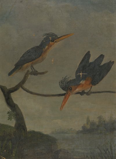 Two Kingfishers beside a Lake by James Sowerby