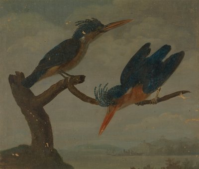 Two Kingfishers beside a Lake by James Sowerby