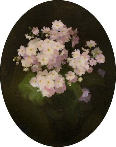 Primulas by James Stuart Park
