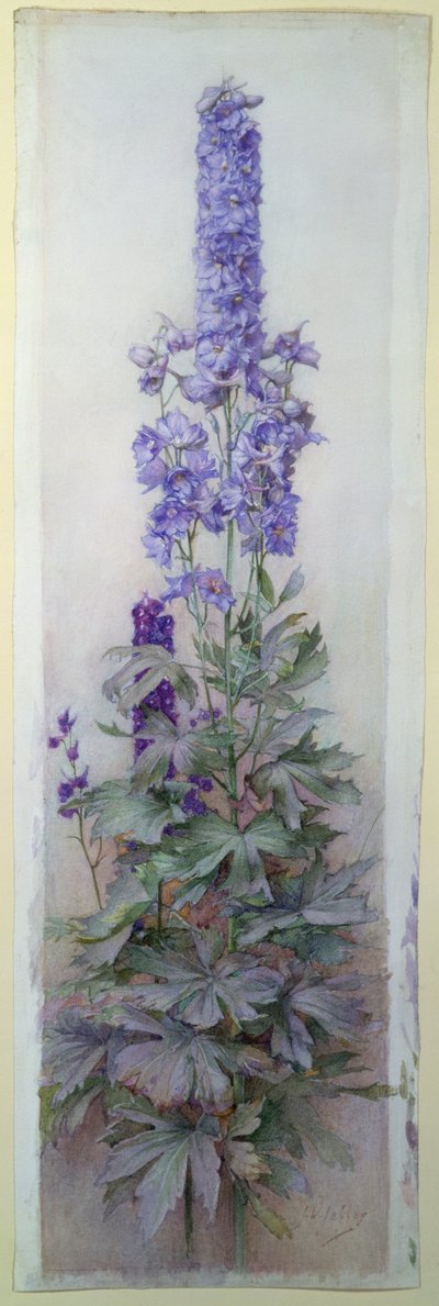 Delphiniums by James Valentine Jelley