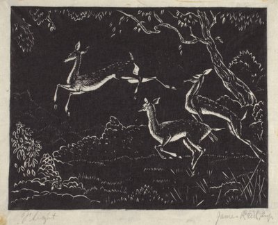 Flight by James W. Reid