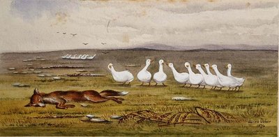 A Game of Fox and Geese by James W. Usher
