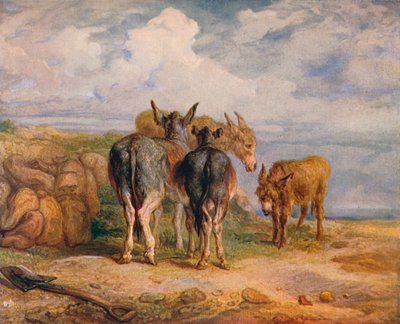 Donkeys by James Ward