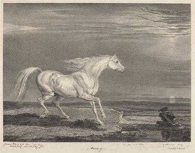 Marengo by James Ward
