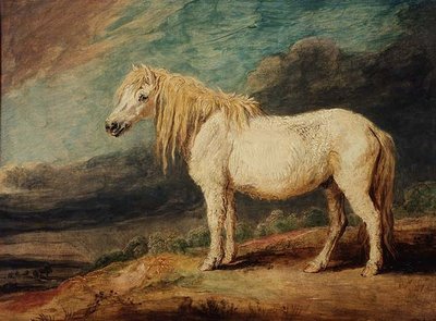 Shetland Pony by James Ward