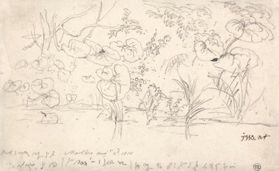 Studies of Plants, August 2, 1815 by James Ward