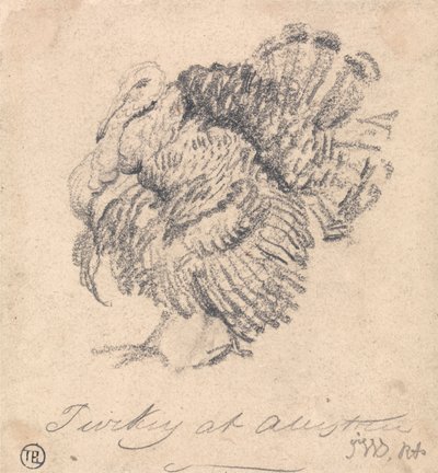 Study of a Turkey by James Ward