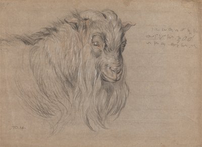 Study of the Head of a Ram by James Ward