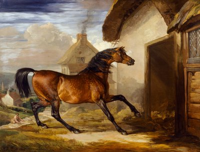 Walton by James Ward