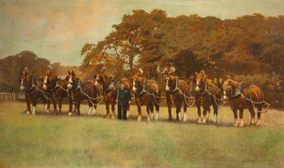Shire Horses by James Weaver Tattersall