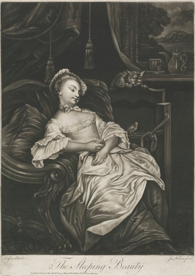 The Sleeping Beauty by James Wilson