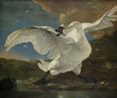 The Threatened Swan, c.1650 by Jan Asselyn