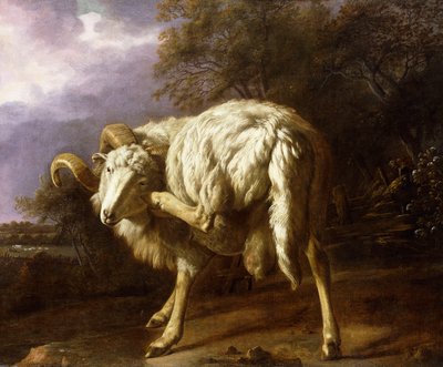 A Ram in a Wooded Landscape by Jan Baptist Weenix