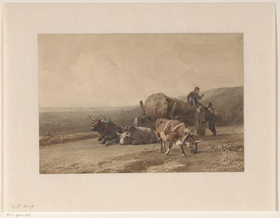 Resting Oxen by Jan Bedijs Tom