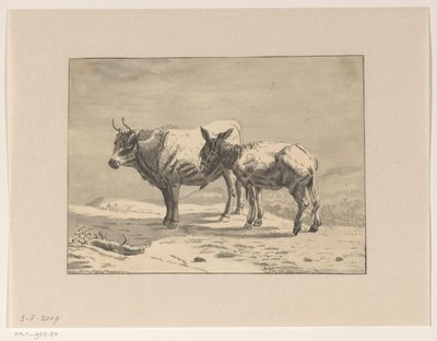 Bull and a Donkey by Jan Bedijs Tom