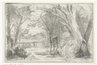 Park Landscape with Deer by Jan Bos Wz.