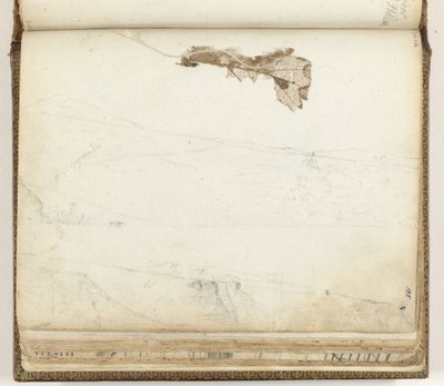 Bay of Saint Helena, Dried Leaf by Jan Brandes