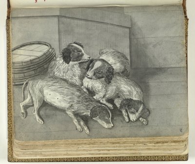 Dogs by Jan Brandes