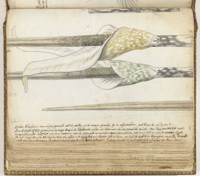 Stinking Herb by Jan Brandes