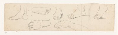 Studies of a Foot by Jan Brandes