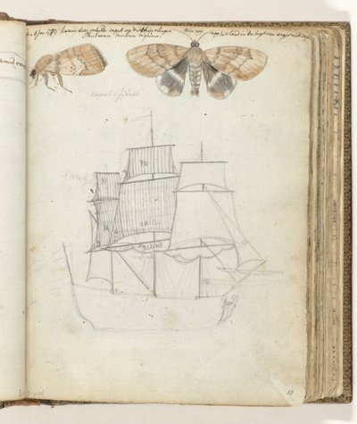 Butterfly and Ship by Jan Brandes