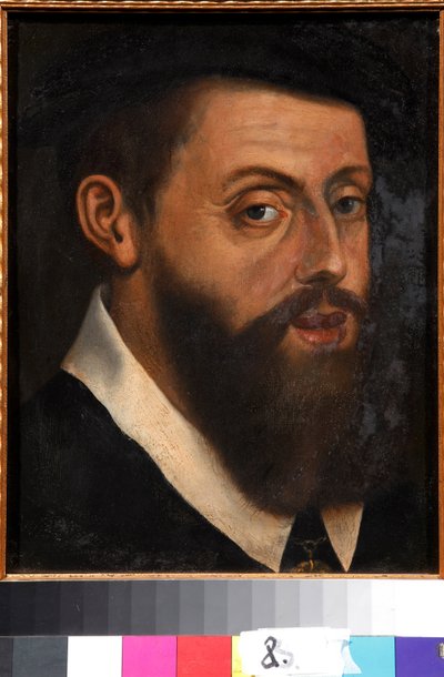 Unknown Image by Jan Cornelisz Vermeyen