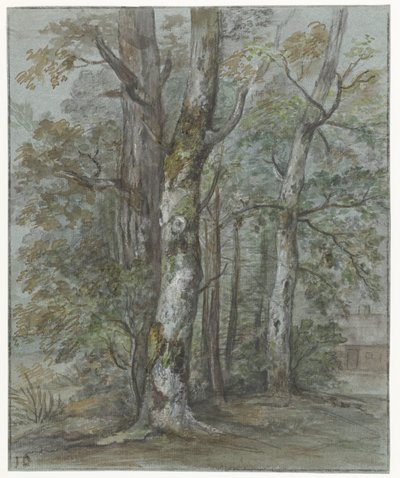 Tree Study by Jan Dasveldt
