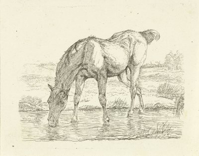 Drinking Horse by Jan Dasveldt