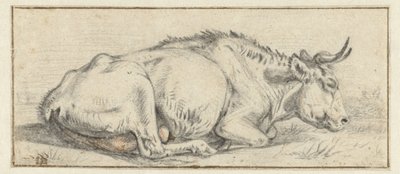 Lying Cow by Jan Dasveldt