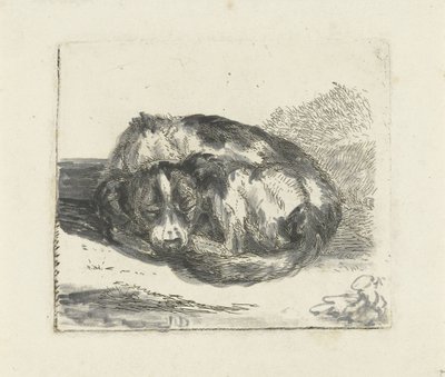 Sleeping Dog by Jan Dasveldt