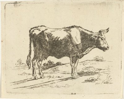 Standing Cow by Jan Dasveldt