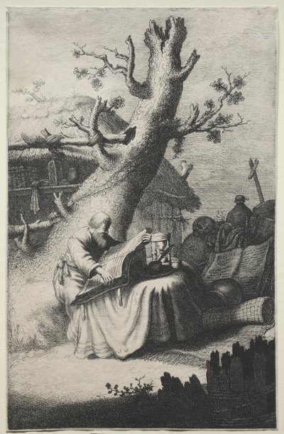 St. Jerome by Jan Georg van Vliet