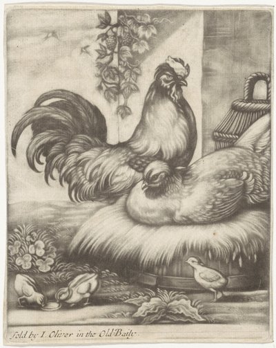 Rooster and Hen by Jan Griffier (I)